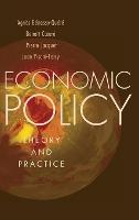 Economic Policy: Theory and Practice