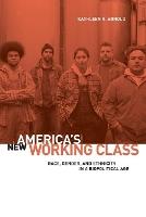 America's New Working Class: Race, Gender, and Ethnicity in a Biopolitical Age