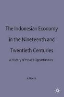 The Indonesian Economy in the Nineteenth and Twentieth Centuries: A History of Missed Opportunities