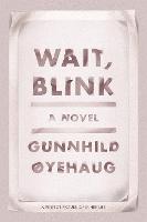 Wait, Blink: A Perfect Picture of Inner Life
