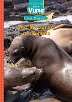 Vuma First Additional Language Level 12 Big Book 4: The Life Cycles Of Animals: Grade 3