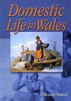 Domestic Life in Wales