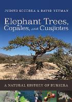 Elephant Trees, Copales, and Cuajiotes: A Natural History of Bursera