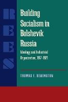 Building Socialism in Bolshevik Russia: Ideology and Industrial Organization, 1917-1921