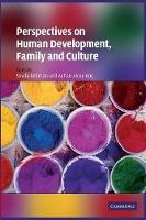 Perspectives on Human Development, Family, and Culture