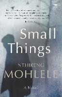 Small things: A novel