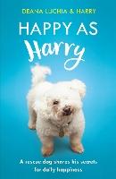 Happy as Harry: A rescue dog shares his secrets for daily happiness