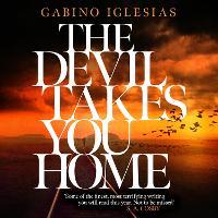 The Devil Takes You Home: the acclaimed up-all-night thriller