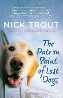The Patron Saint of Lost Dogs