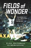 Fields of Wonder: The Incredible Story of Northern Ireland's Journey to the 1982 World Cup