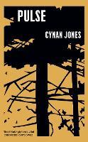 Pulse: Shortlisted for the Wales Fiction Book of the Year