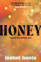 Honey: An addictive story of pop stardom