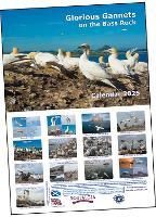 Glorious Gannets on the Bass Rock Calendar 2025