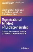 Organizational Mindset of Entrepreneurship: Exploring the Co-Creation Pathways of Structural Change and Innovation