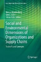 Social and Environmental Dimensions of Organizations and Supply Chains: Tradeoffs and Synergies