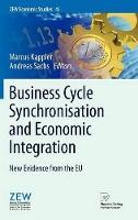 Business Cycle Synchronisation and Economic Integration: New Evidence from the EU