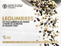 Pulses (Recipes) (Spanish): A Global Journey Through Recipes from Leading Chefs