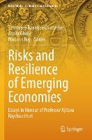Risks and Resilience of Emerging Economies: Essays in Honour of Professor Ajitava Raychaudhuri